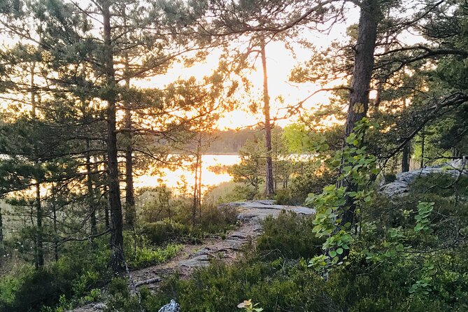 Midnight Sun and Campfire - National Park evening hike Stockholm - Red log houses and a taste of Swedish fika