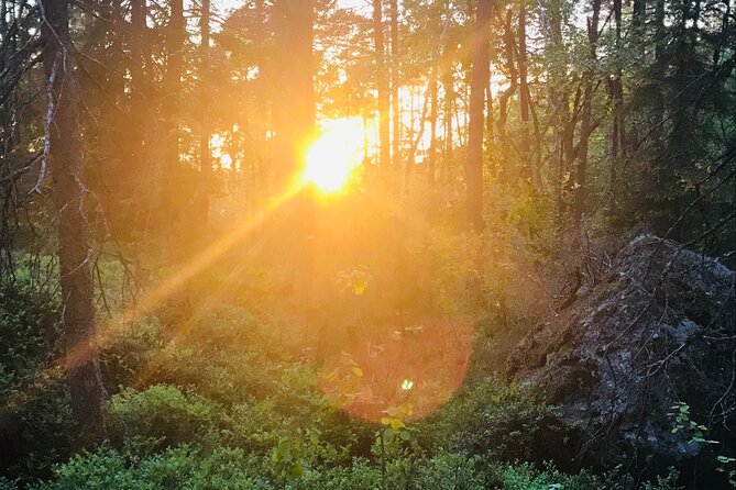 Midnight Sun and Campfire - National Park evening hike Stockholm - Should you book Midnight Sun and Campfire?
