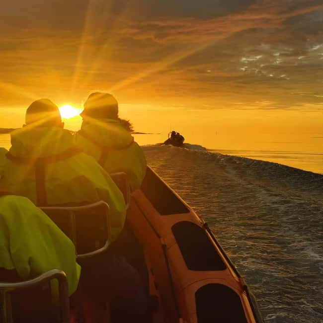 Midnight sun safari - Should you book the midnight sun safari?