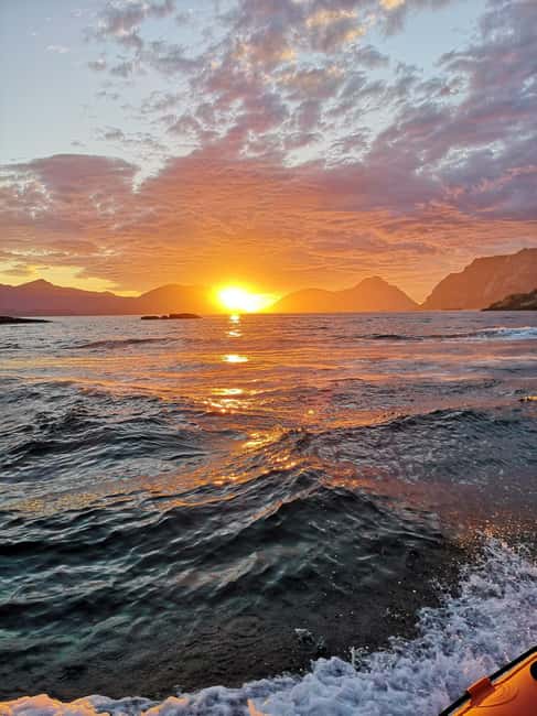 Midnight sun safari - Why the midnight sun changes the boat ride