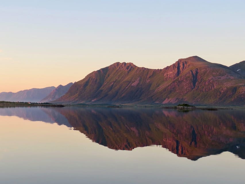 Midnight sun safari - Watching for sea eagles, seals and puffins