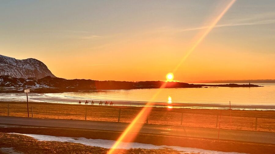 Midnight sun tour - Key points to know before booking