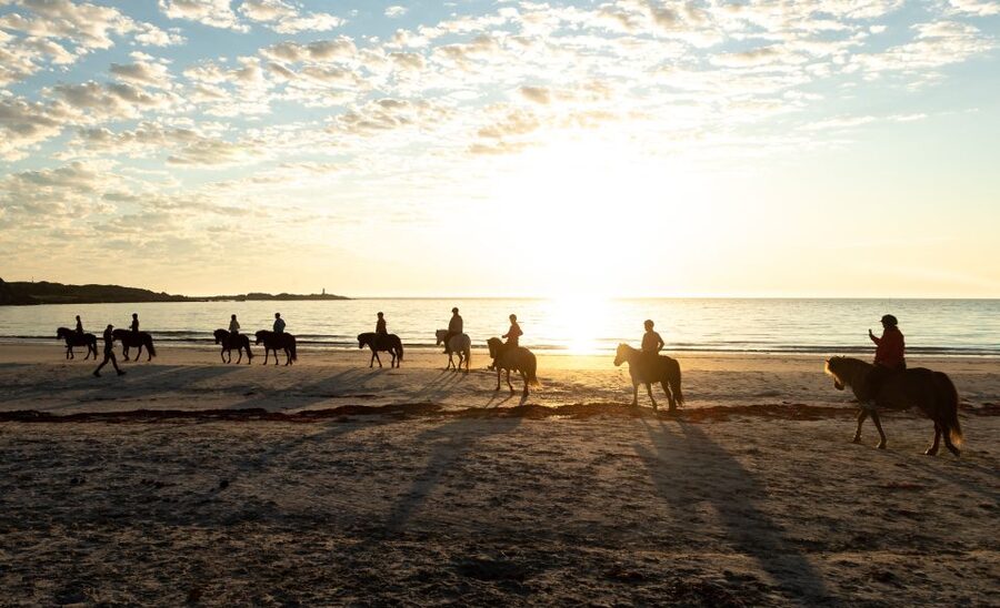 Midnight sun tour - Returning by the Arctic beach