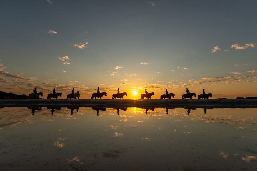Midnight sun tour - Getting started at the Hov Gård stables