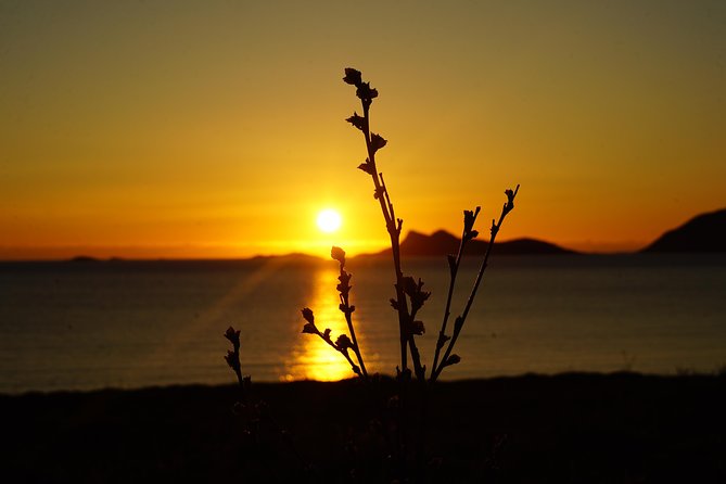 Midnightsun- Eco friendly Tesla Model X - Why the Tesla Model X matters here