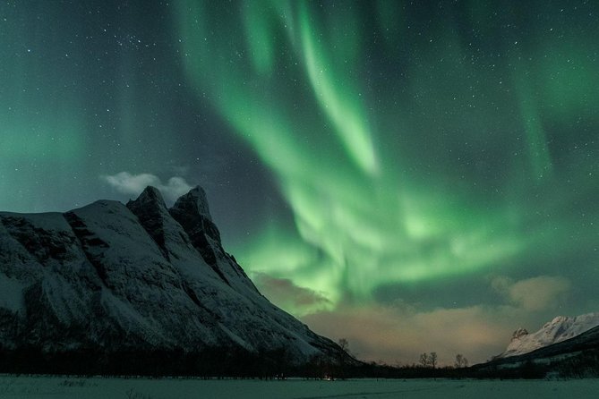 Minibus Northern Lights Chase with Photography from Tromsø - A campfire, tomato soup, and Arctic comfort