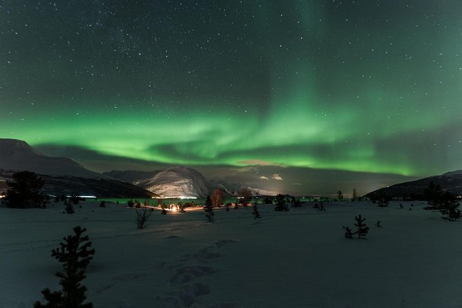 Minibus Northern Lights Chase with Photography from Tromsø - Price, timing, and who gets good value
