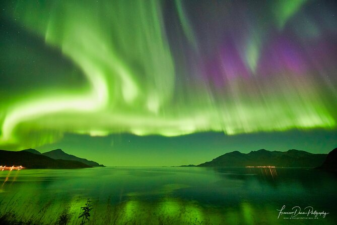 Minivan Northern Lights excursion (8 guests per minivan) - Warm suits, boots, coffee, and the waiting game