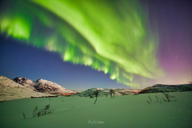 Minivan Northern Lights excursion (8 guests per minivan) - How the photography help works