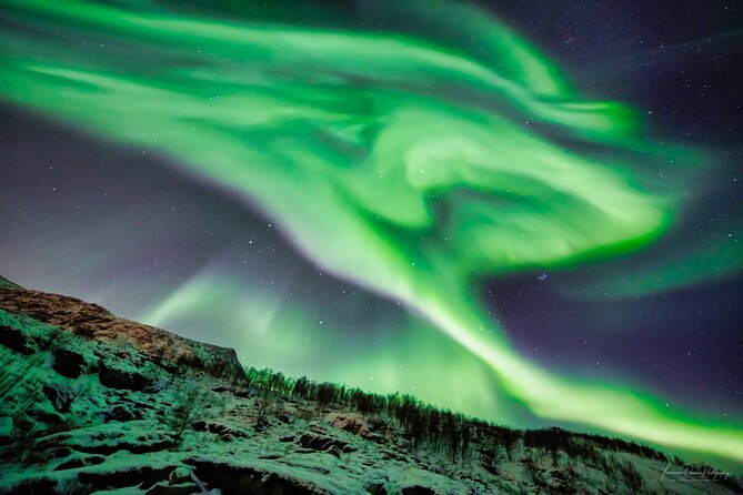 Minivan Northern Lights excursion (8 guests per minivan) - Guides who make the long night work