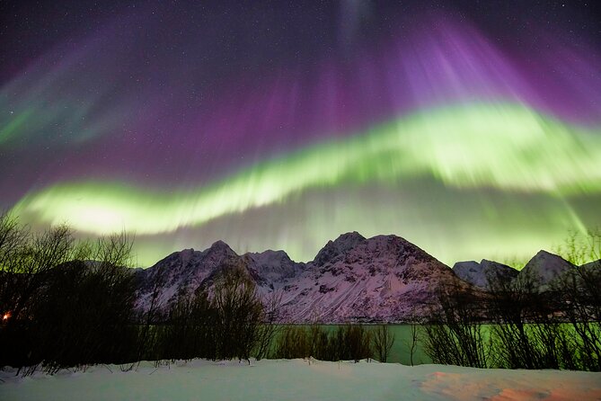 Minivan Northern Lights excursion (8 guests per minivan) - Is $204.51 a fair price?