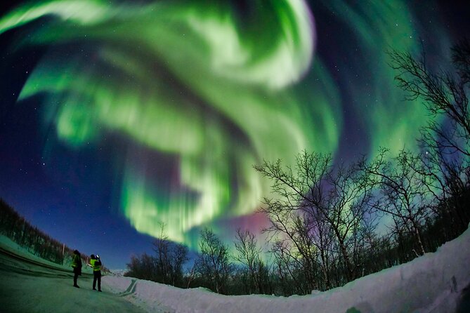 Minivan Northern Lights excursion (8 guests per minivan) - Booking advice for the best chance