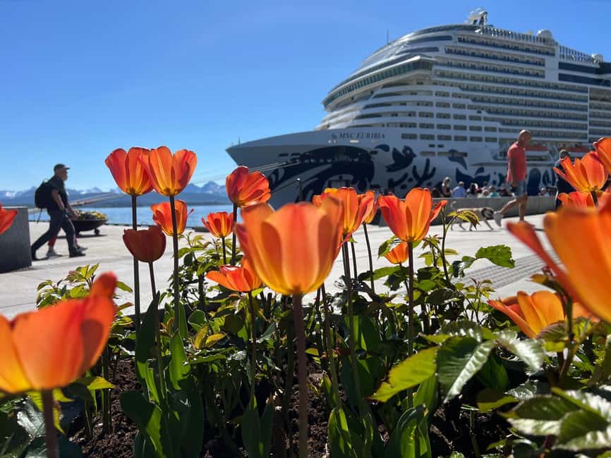 Molde: Atlantic Ocean Road, Kvernes Stave Church & More - Farstadsanden brings you to the open coast