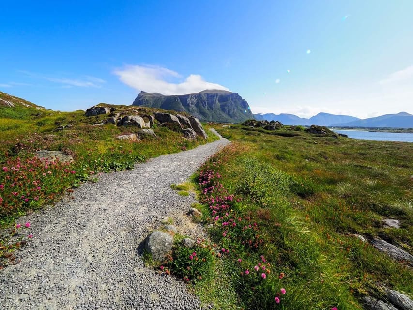 Molde - Get a feeling of the Atlantic Ocean - Key points to know before you book