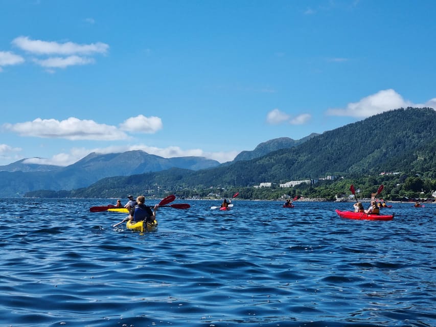 Molde - Guided kayak tour - Wildlife, quiet water, and a different pace