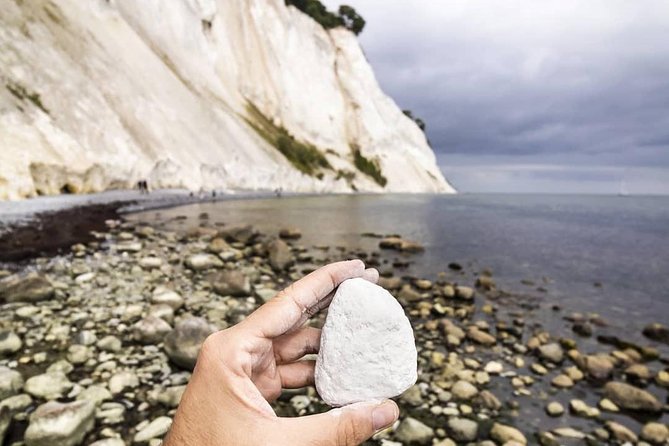 Møns klint and The Forest tower - A day tour from Copenhagen - What to expect from the guide