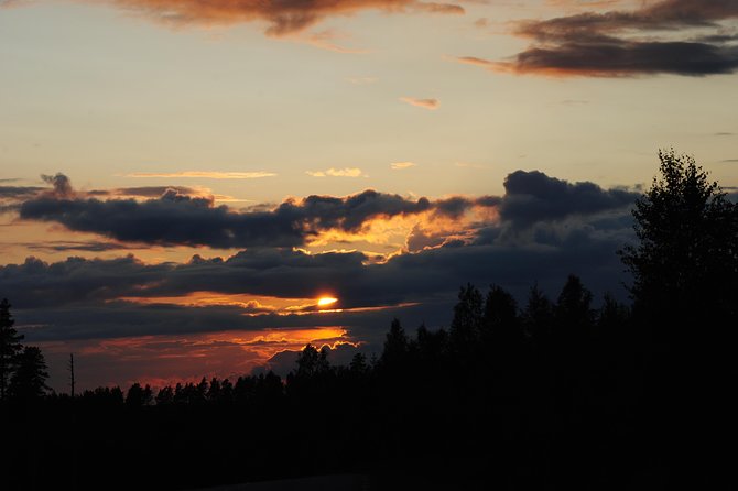 Moose safari in the wild Sweden Tiveden - Who will enjoy this Tiveden safari most