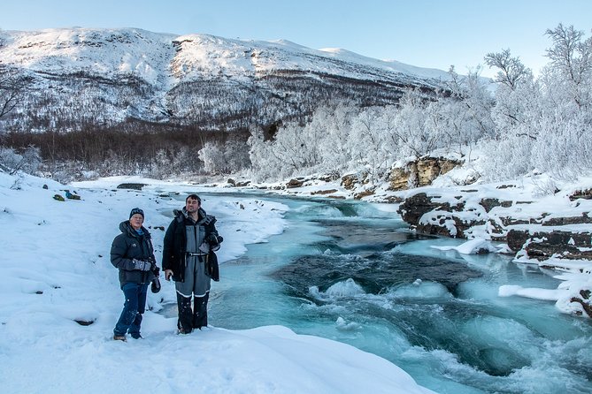 Morning hike in Abisko National Park - Wildlife sightings are a bonus, not the main product