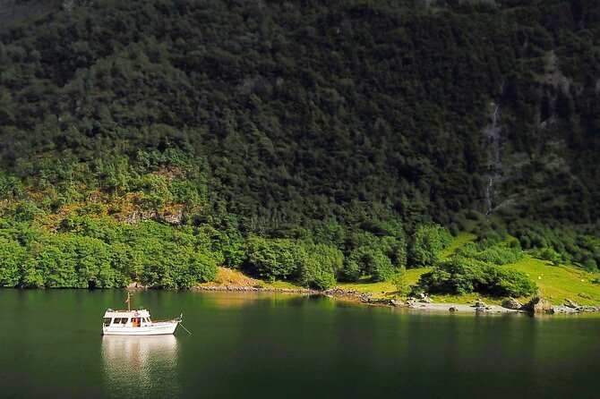 Mostraumen Private Pontoon Cruise - Key points at a glance