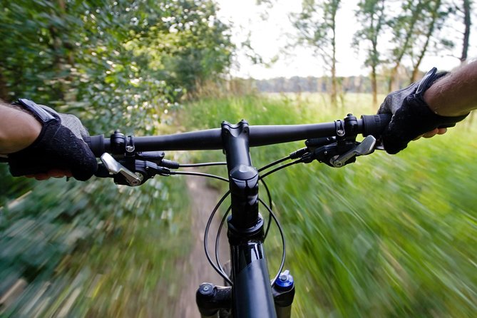Mountain Biking Small-Group in Stockholm Forests for Beginners - From Stockholm streets to Nackareservatet forest