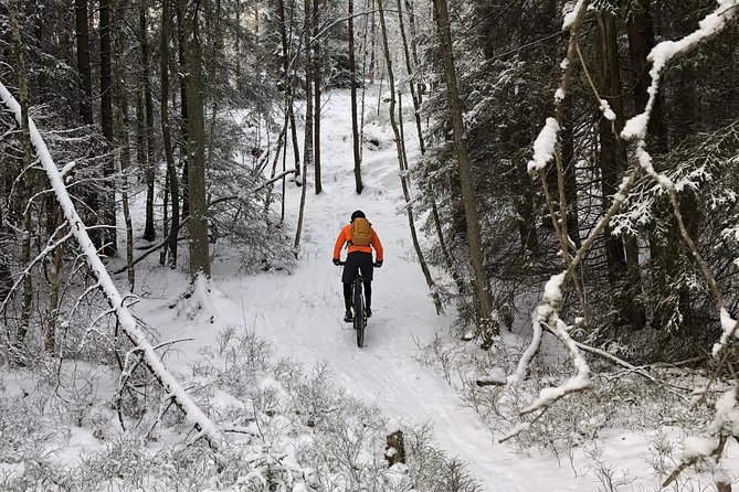 Mountain Biking Small-Group in Stockholm Forests for Beginners - Guides and the small-group advantage