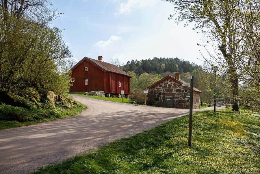Nordens Ark Entry Ticket - How to plan a full day at Nordens Ark