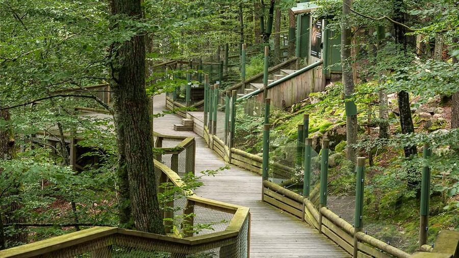 Nordens Ark Entry Ticket - The wildlife area: expect variety and patience