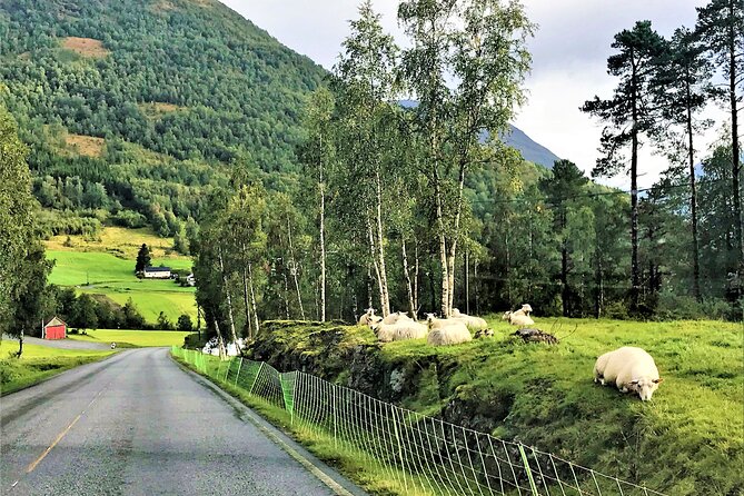 Nordfjordeid Private Shore Excursion, Glaciers and SkyLift Ride - Is the private price worth it?