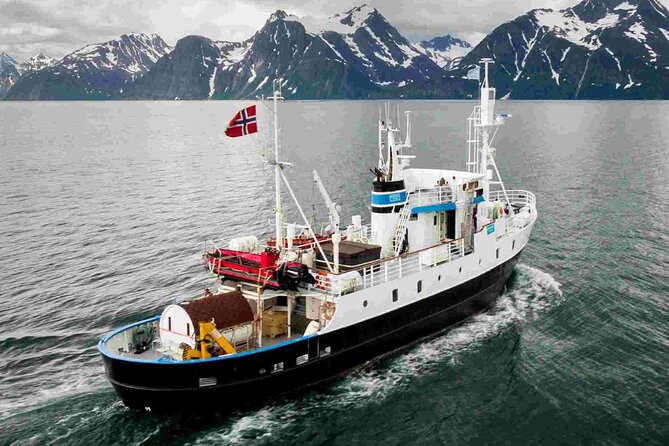 Northern Light cruise on the vintage vessel MS Strønstad - Timing, comfort, and practical details