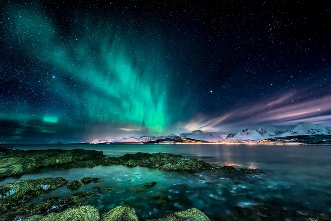 Northern light hunt in Tromsø. WiFi included - Key things to know before you book