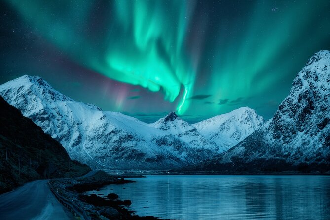 Northern light hunt in Tromsø. WiFi included - Soup, cookies, and a fire under the stars