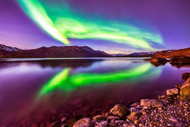 Northern light hunt in Tromsø. WiFi included - What the $182 price really buys