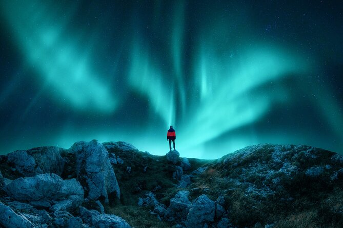 Northern light hunt in Tromsø. WiFi included - Driving into the Arctic night