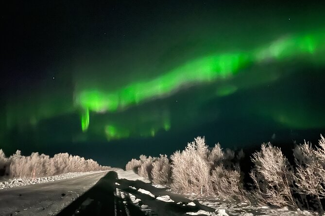 Northern Light hunt with minibus to Abisko 7:30 pm - From Kiruna to the dark roads of Abisko