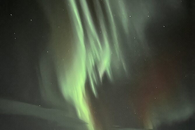 Northern Light hunt with minibus to Abisko 7:30 pm - Guides, camera help, and the human side of the night