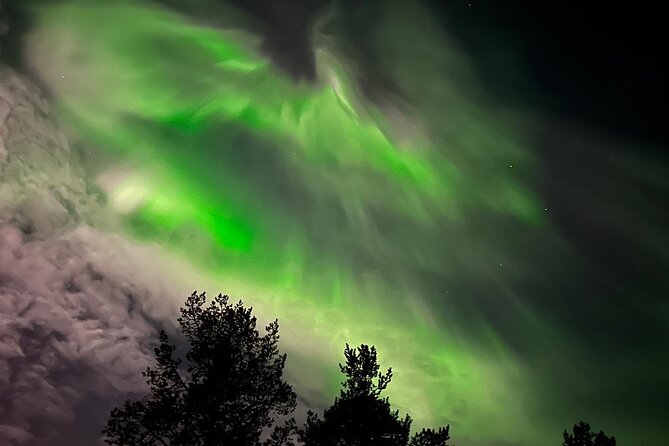 Northern Light hunt with minibus to Abisko 7:30 pm - Hot drinks, cake, and the cost of comfort