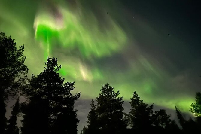 Northern Light hunt with minibus to Abisko 7:30 pm - How to prepare for a better night
