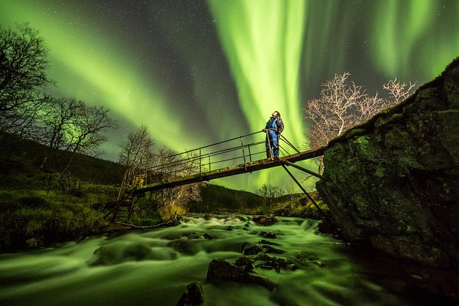 Northern Lights Adventure with Greenlander, 8 people max - The drive from Tromsø to the best available sky