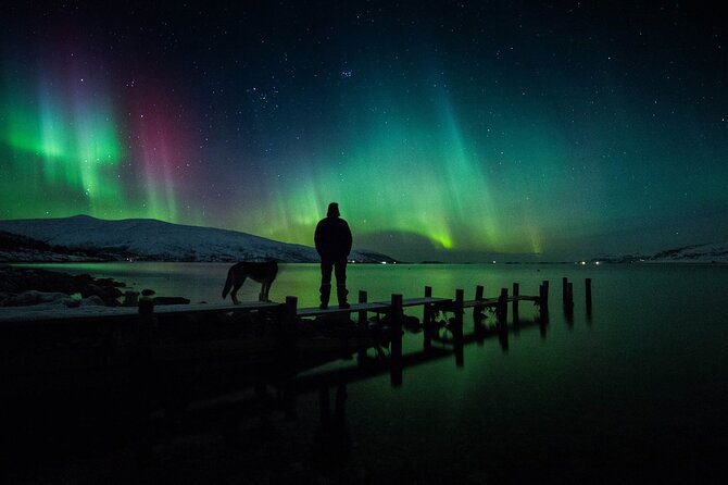 Northern Lights Big Bus Chase with Free Photos - Guides who make a cold night easier