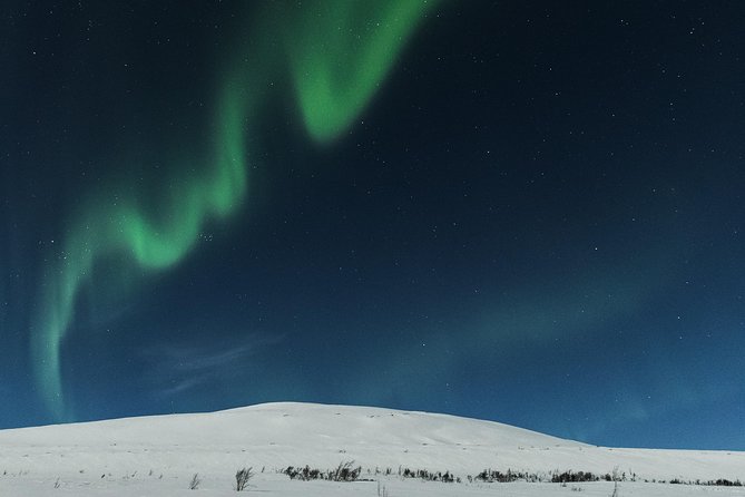 Northern lights cable car excursion - Is $191.57 a fair price?