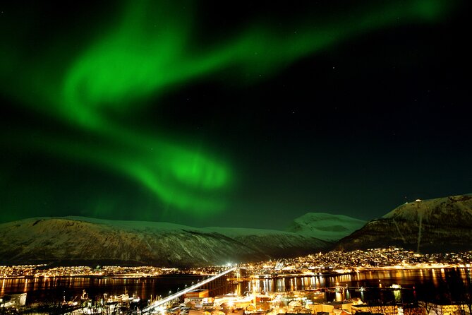 Northern Lights Chase by Bus in Tromso - Key points to know before you book