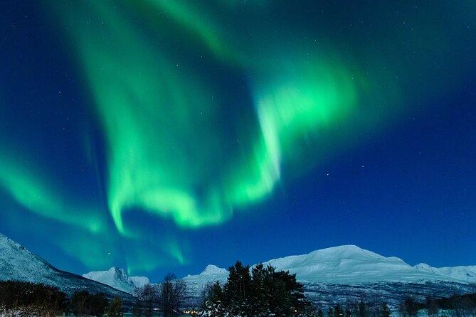 Northern Lights Chase by Bus in Tromso - Leaving Tromsø at 6 pm in search of clear sky