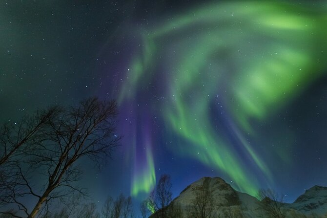 Northern Lights Chase by Bus in Tromso - How much value do you get for $128.88?
