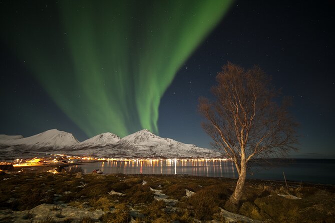 Northern Lights Chase by Bus in Tromso - Who should choose this Tromsø aurora tour?