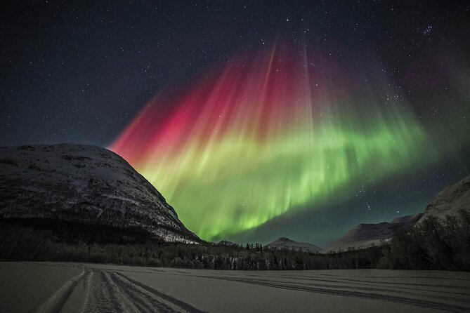 Northern Lights Chase with Photography from Tromsø - Key things to know before you book