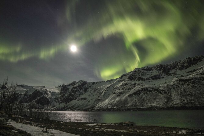 Northern Lights Chase with Photography from Tromsø - Guides and the human side of the night