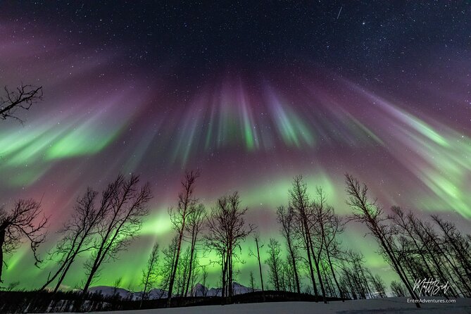 Northern Lights Guided Bus Tour with Free Photos - Leaving Tromsø after dark