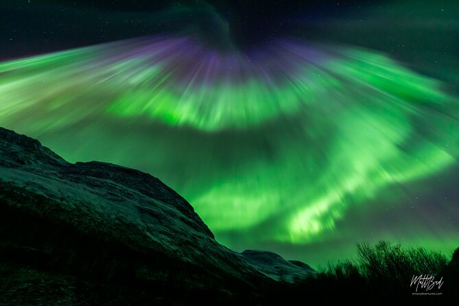 Northern Lights Guided Bus Tour with Free Photos - What $106.80 buys you