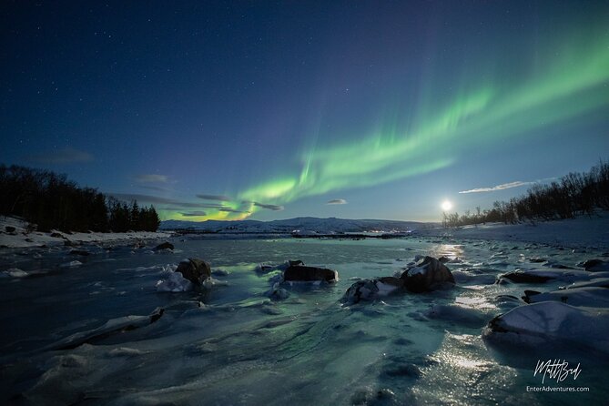 Northern Lights Guided Bus Tour with Free Photos - Who should book this Tromsø aurora tour