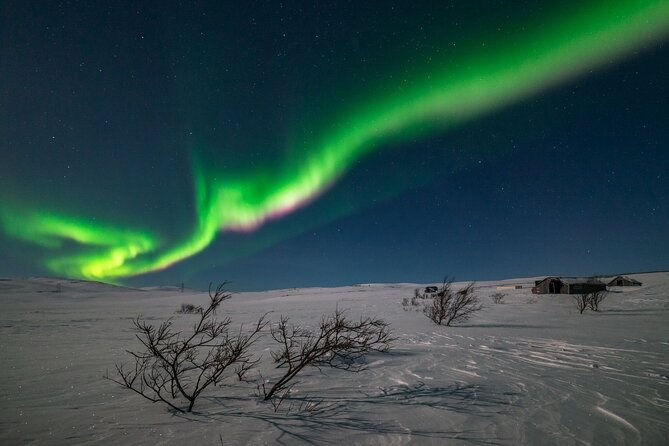Northern Lights Hunt - Why a Moving Aurora Hunt Makes Sense in Alta